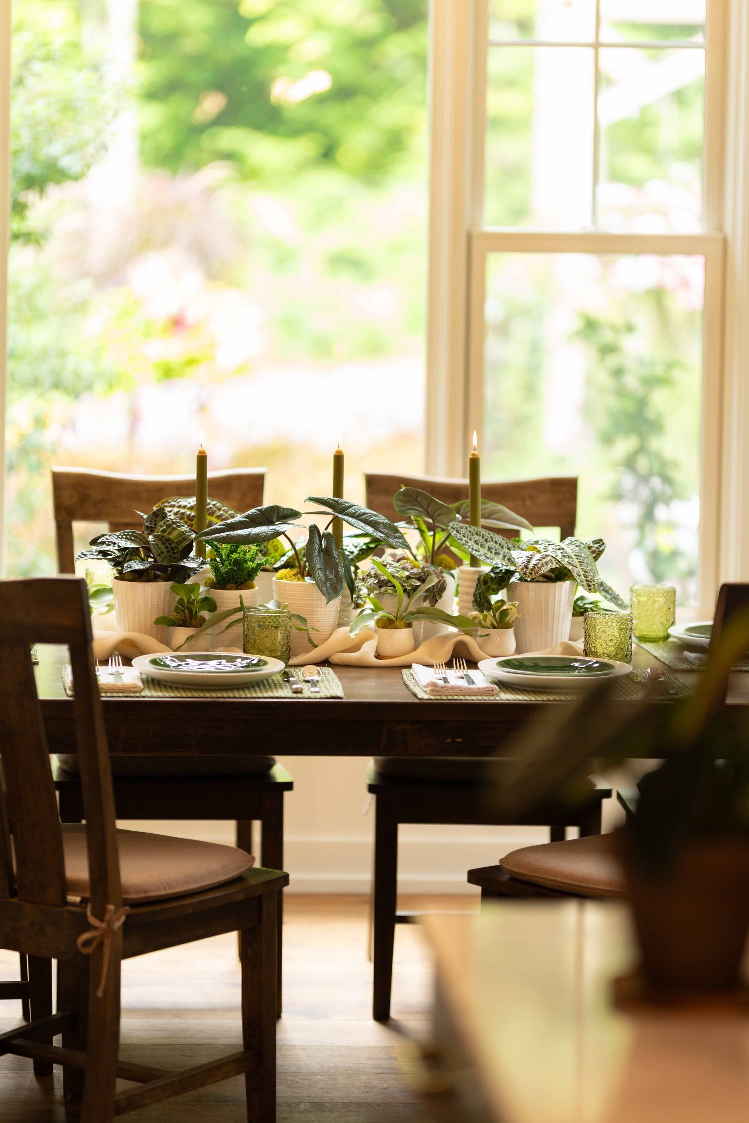 Wooden dining table set with potted green plants as centerpiece near sunny window.