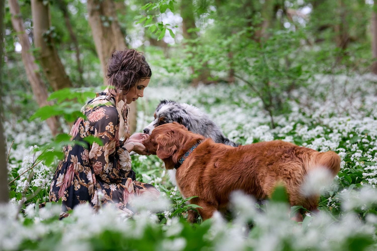 A young girl in a floral dress feeds a golden retriever dog among white wildflowers in a lush green forest.