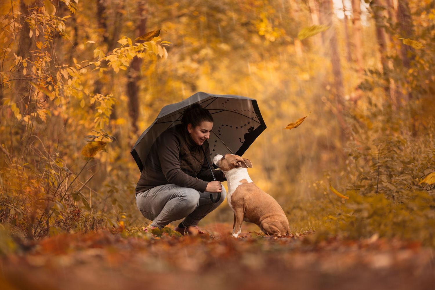 Woman with umbrella kneels to pet her dog amid golden autumn forest foliage.