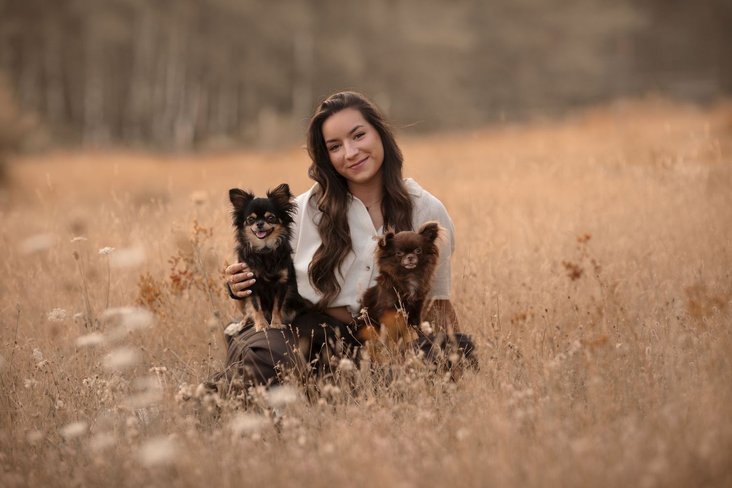 Young woman smiling in golden field with two small dogs, autumn outdoor portrait photography.