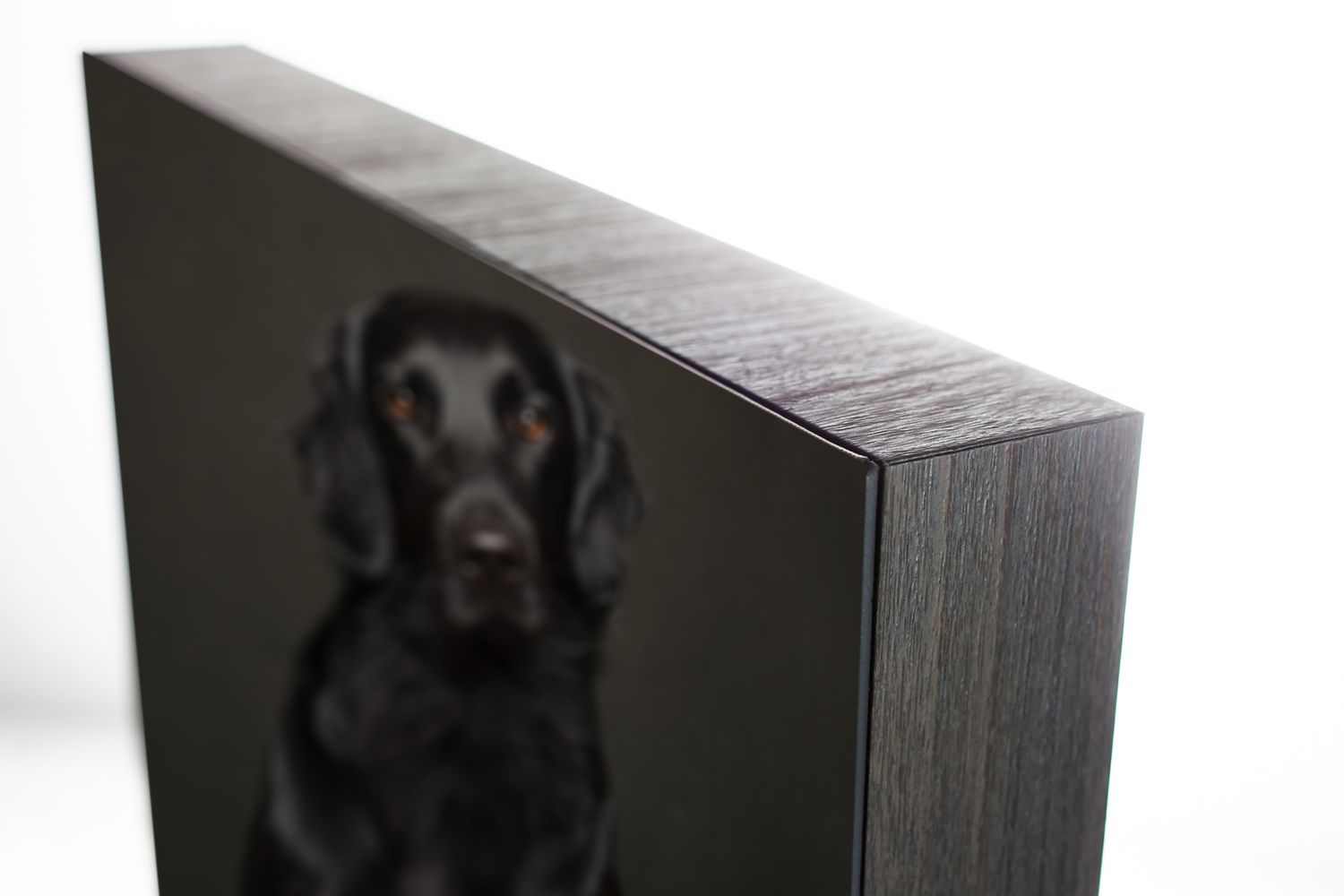 Black dog portrait printed on a dark wood framed canvas wall art panel, displayed at an angle on white background.