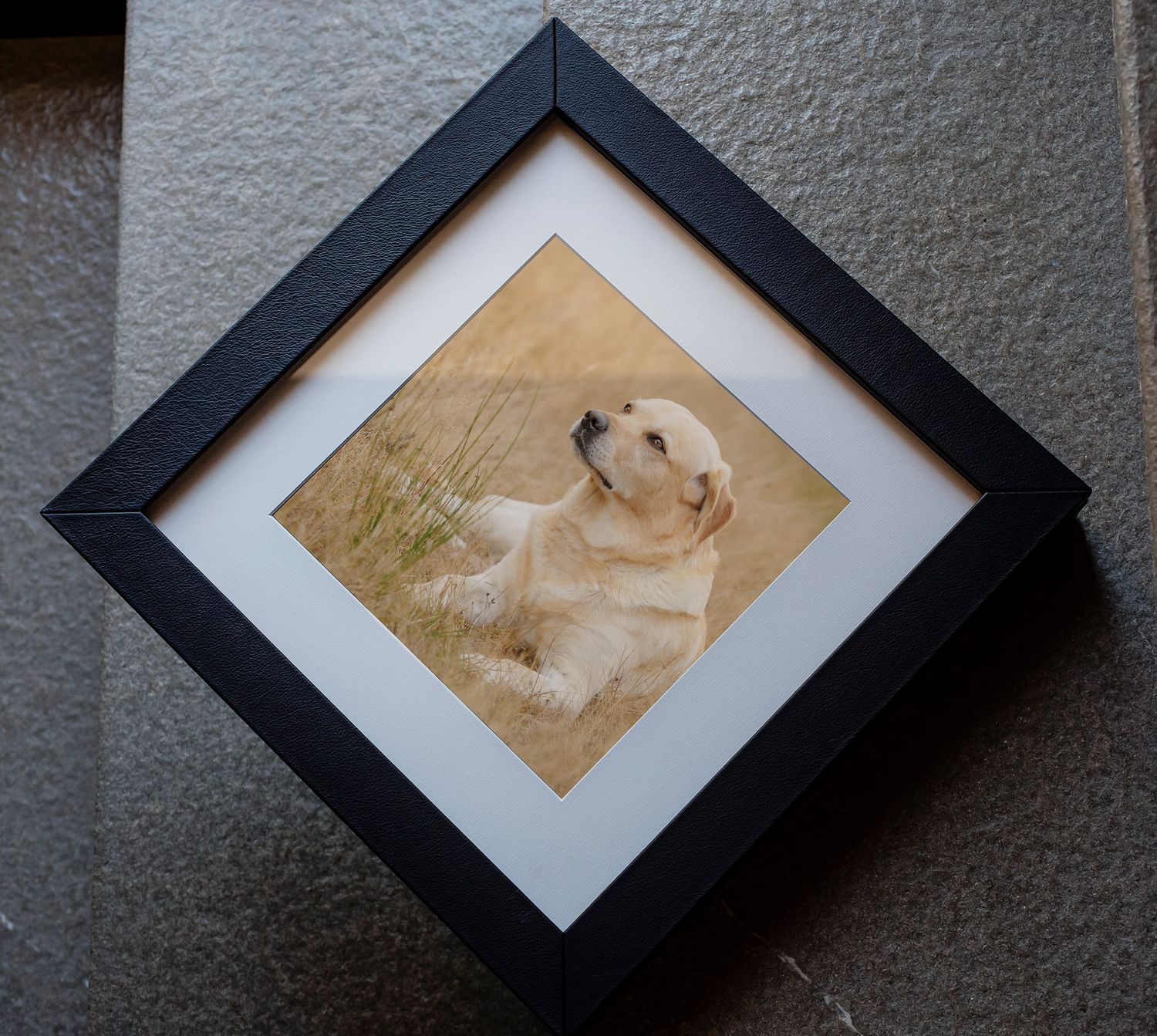 Black diamond-shaped frame displaying a golden Labrador puppy portrait with white mat on gray surface.