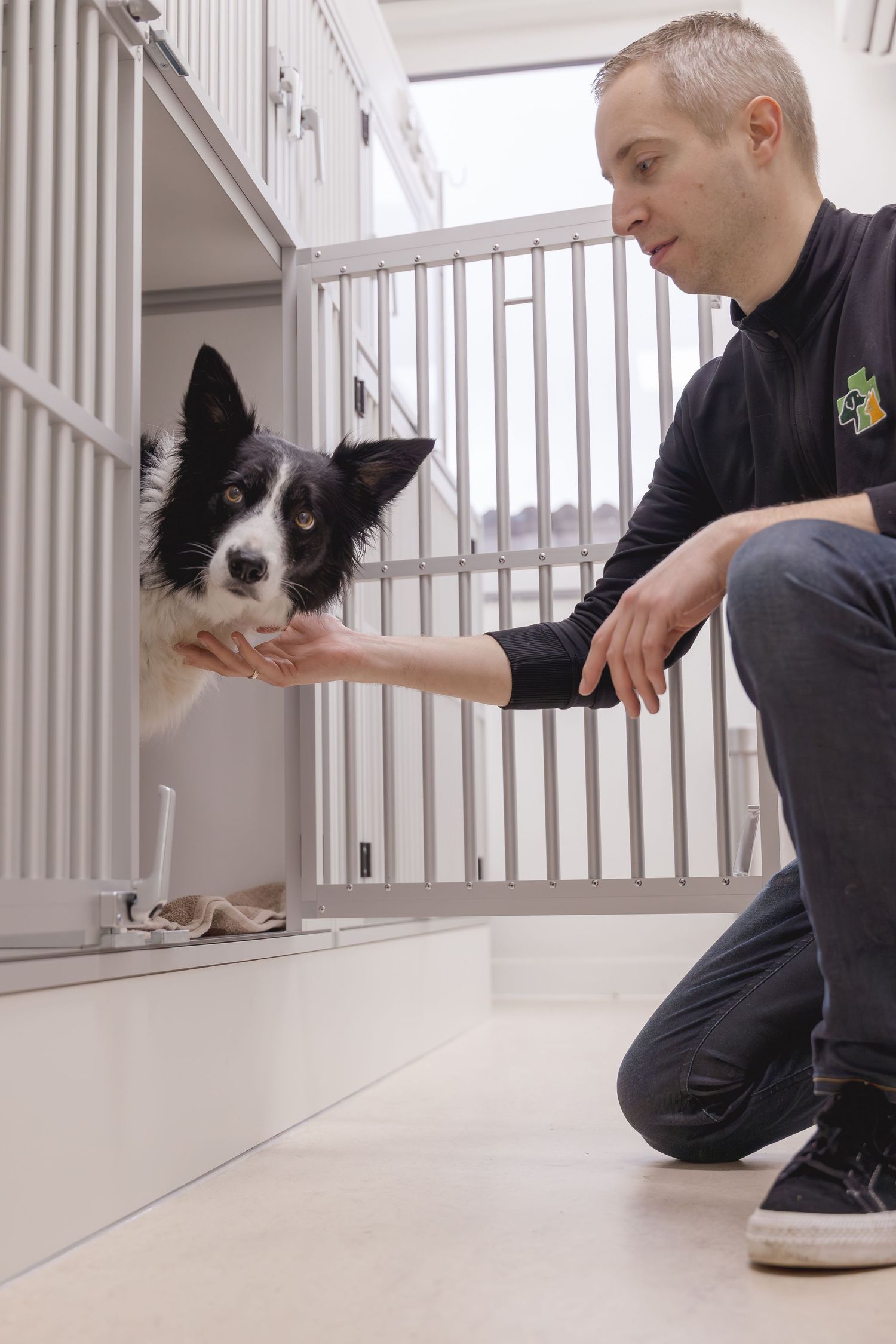 Man kneeling to interact with a black and white border collie dog through kennel gate bars.