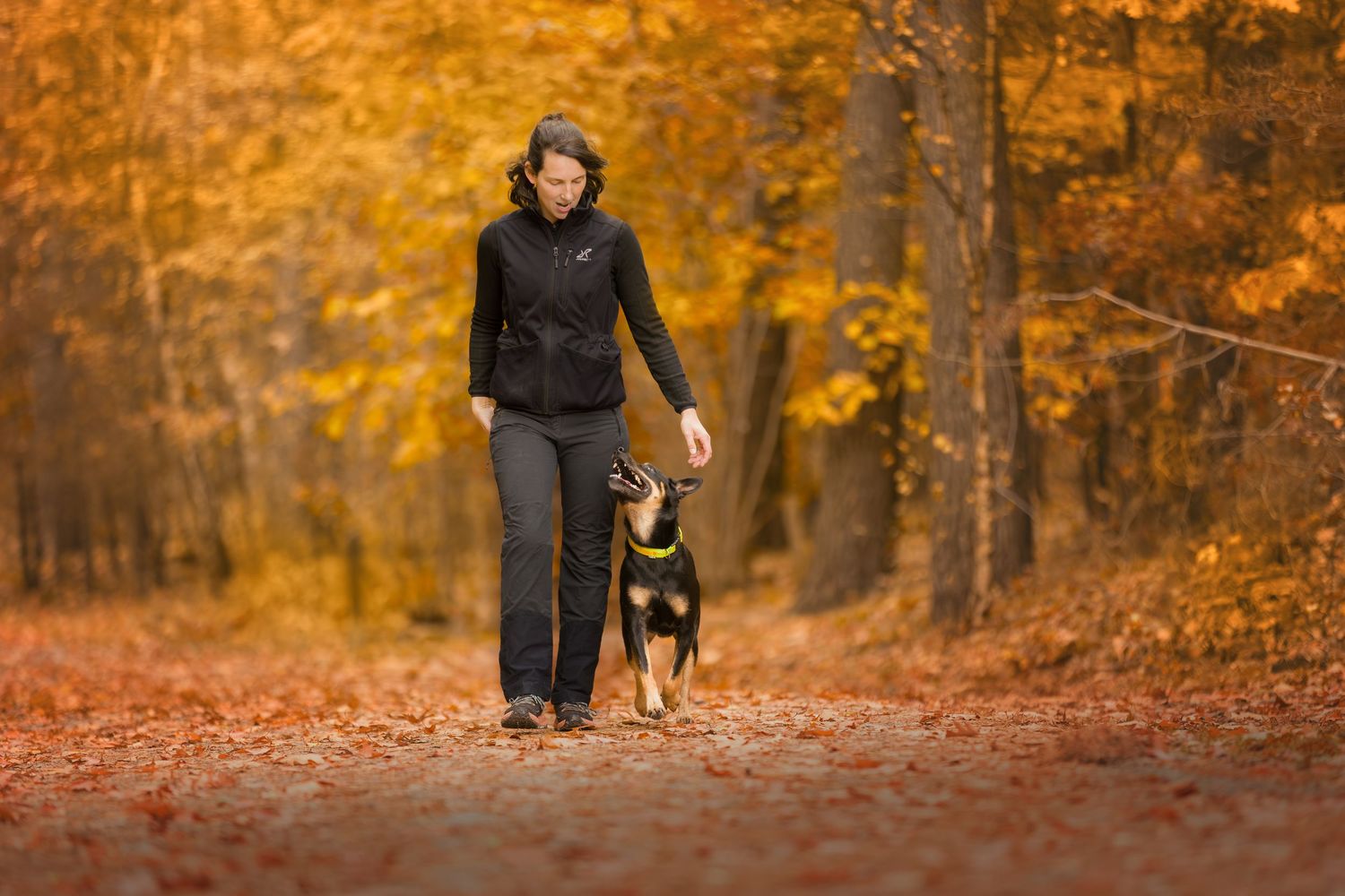 Woman walking black and tan dog on autumn forest path covered in fallen orange leaves.