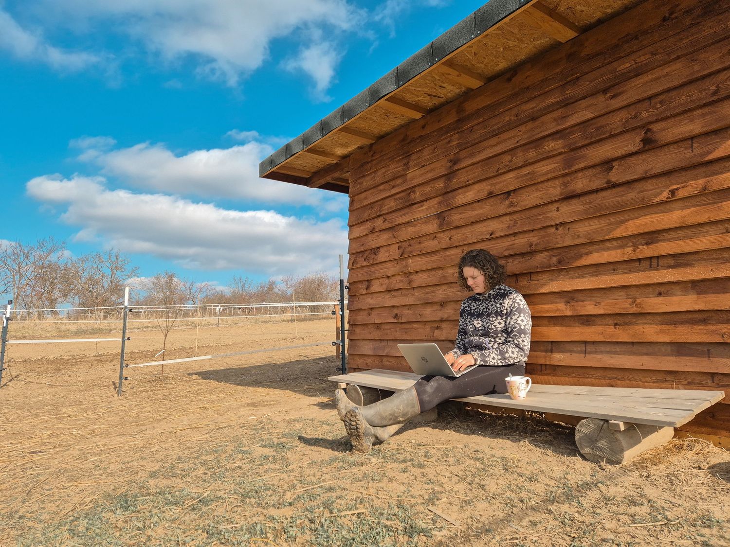 Woman sitting on a bench outside a wooden cabin working on a laptop on a sunny day.
