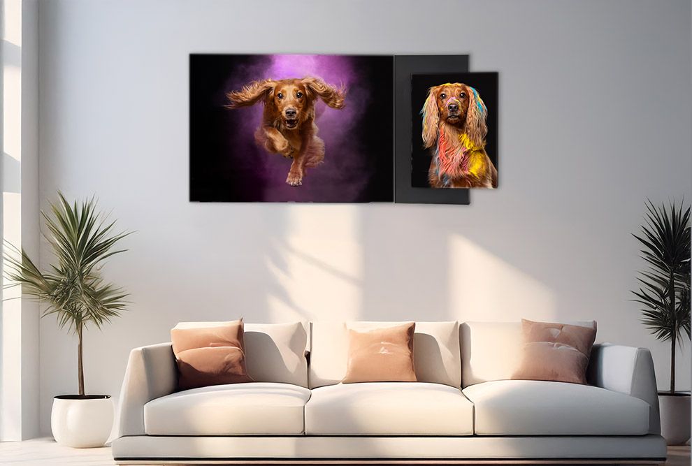 Two vibrant dog portraits on canvas wall art displayed above a modern white sofa in a contemporary living room.