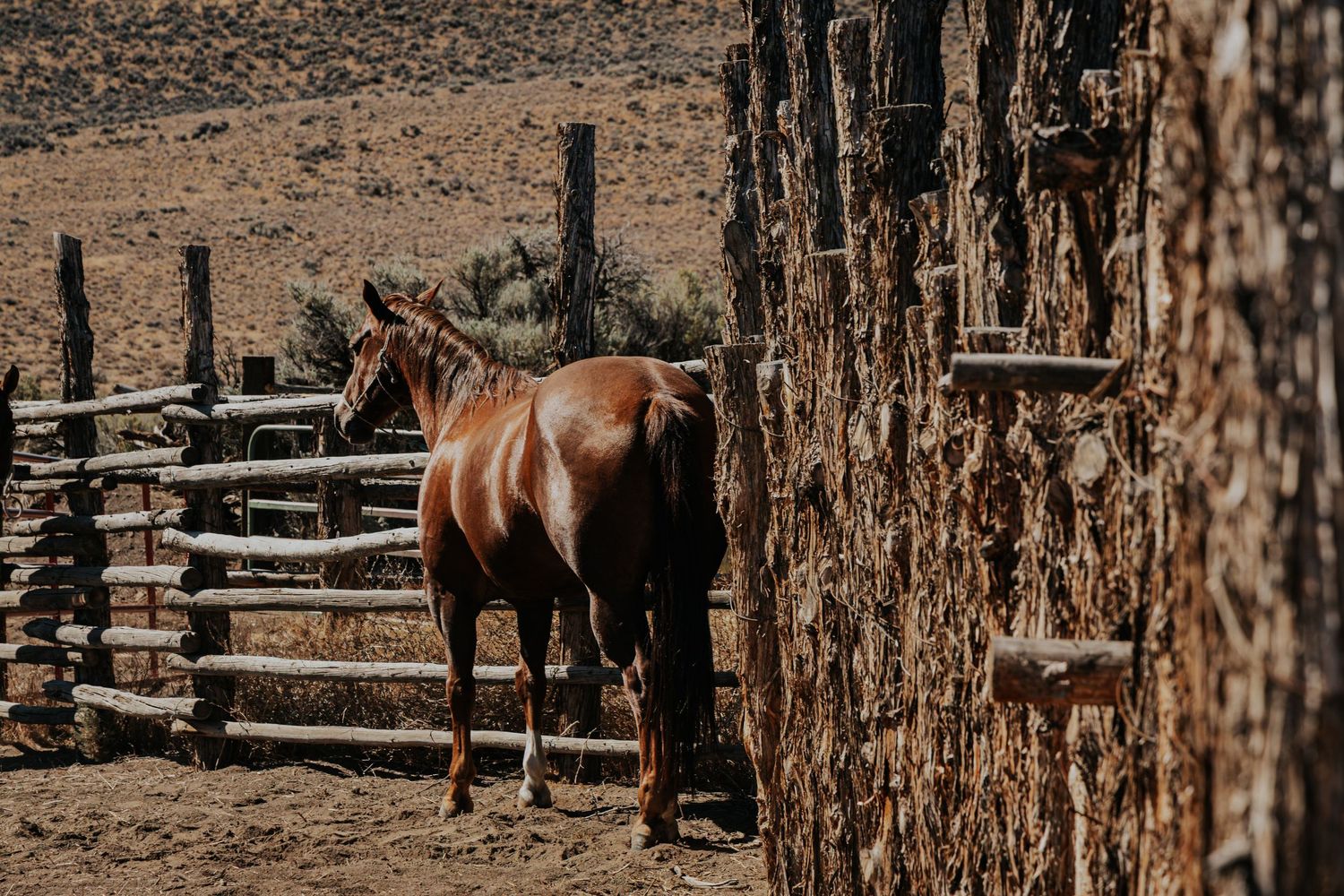 Western photography
