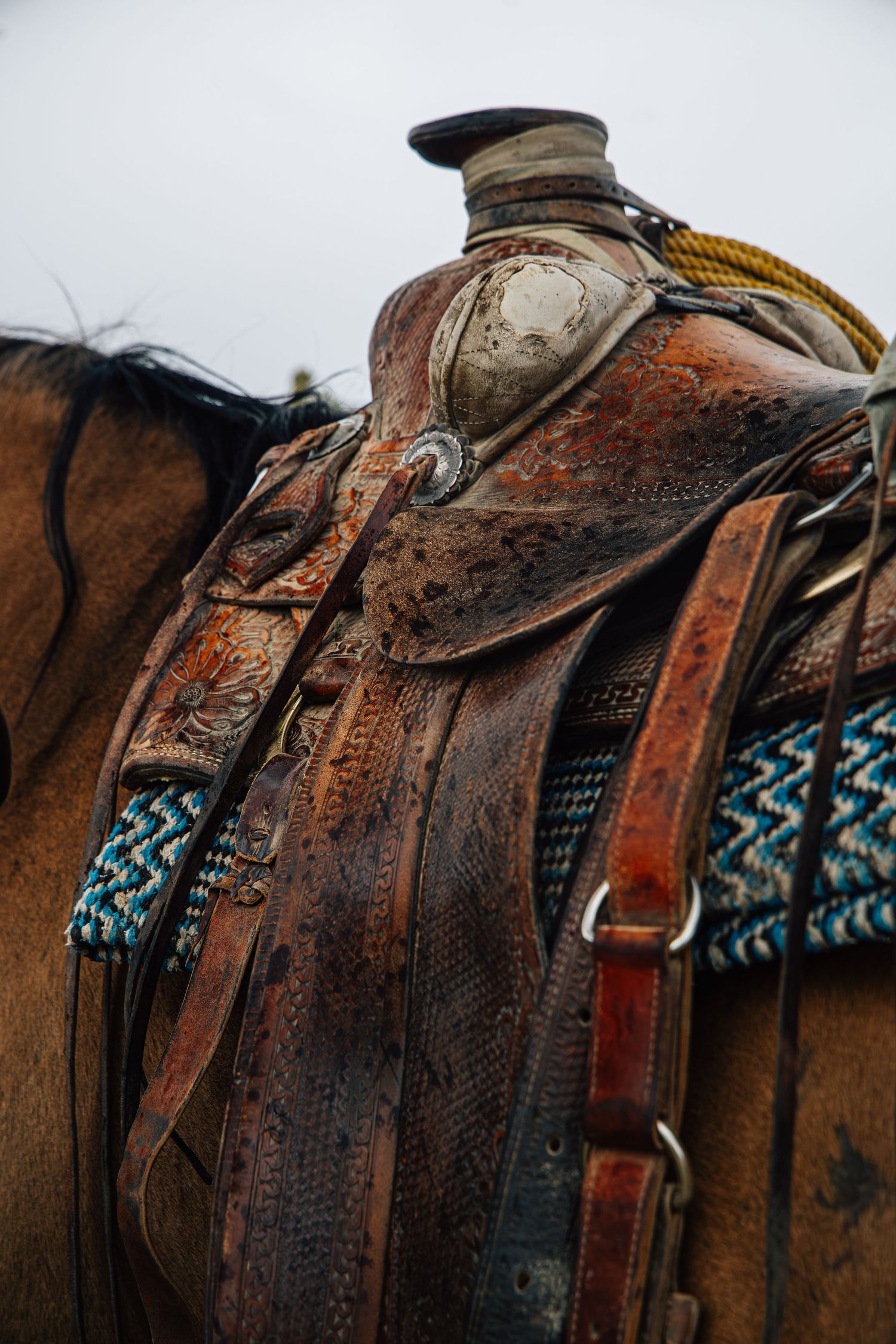 Western photography