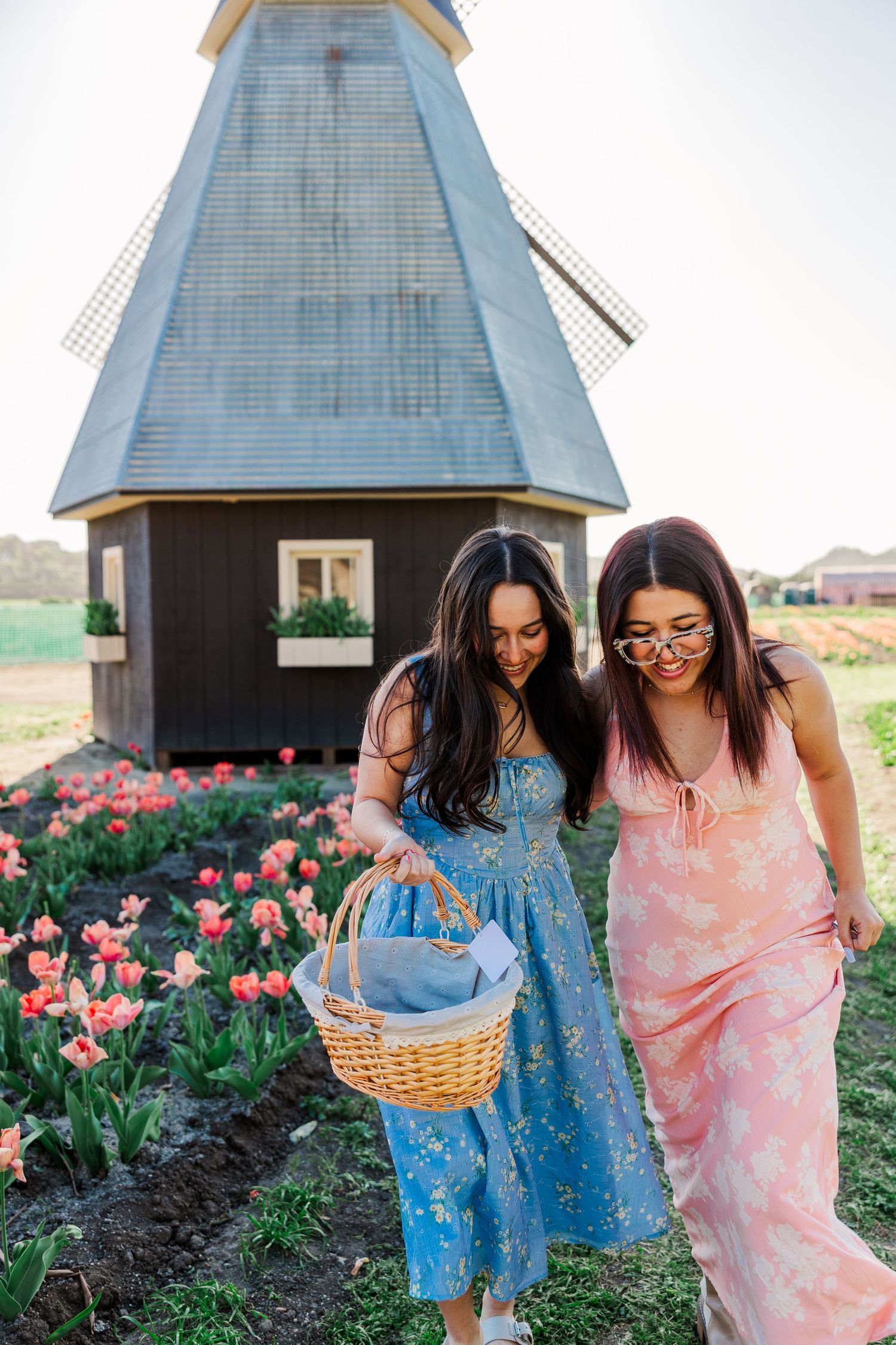 Two friends in flowing dresses gather tulips together in a garden with Dutch-style windmills in the background.