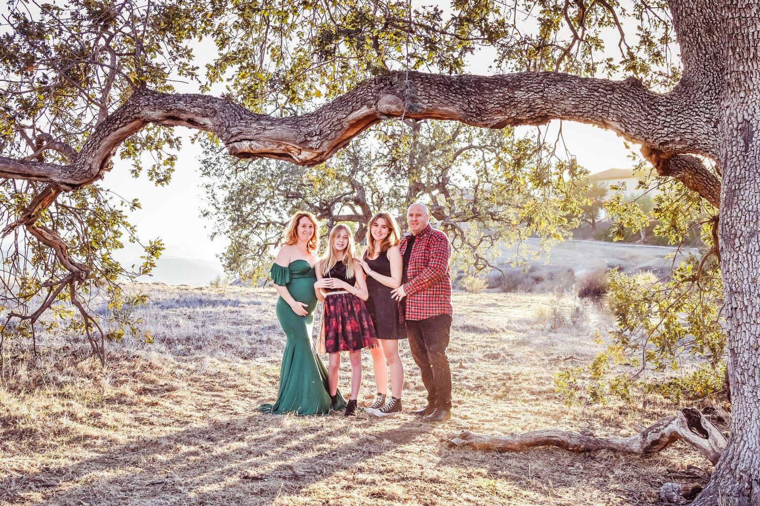 Family members gather under a large tree during golden hour at a scenic mountain overlook in Arizona.