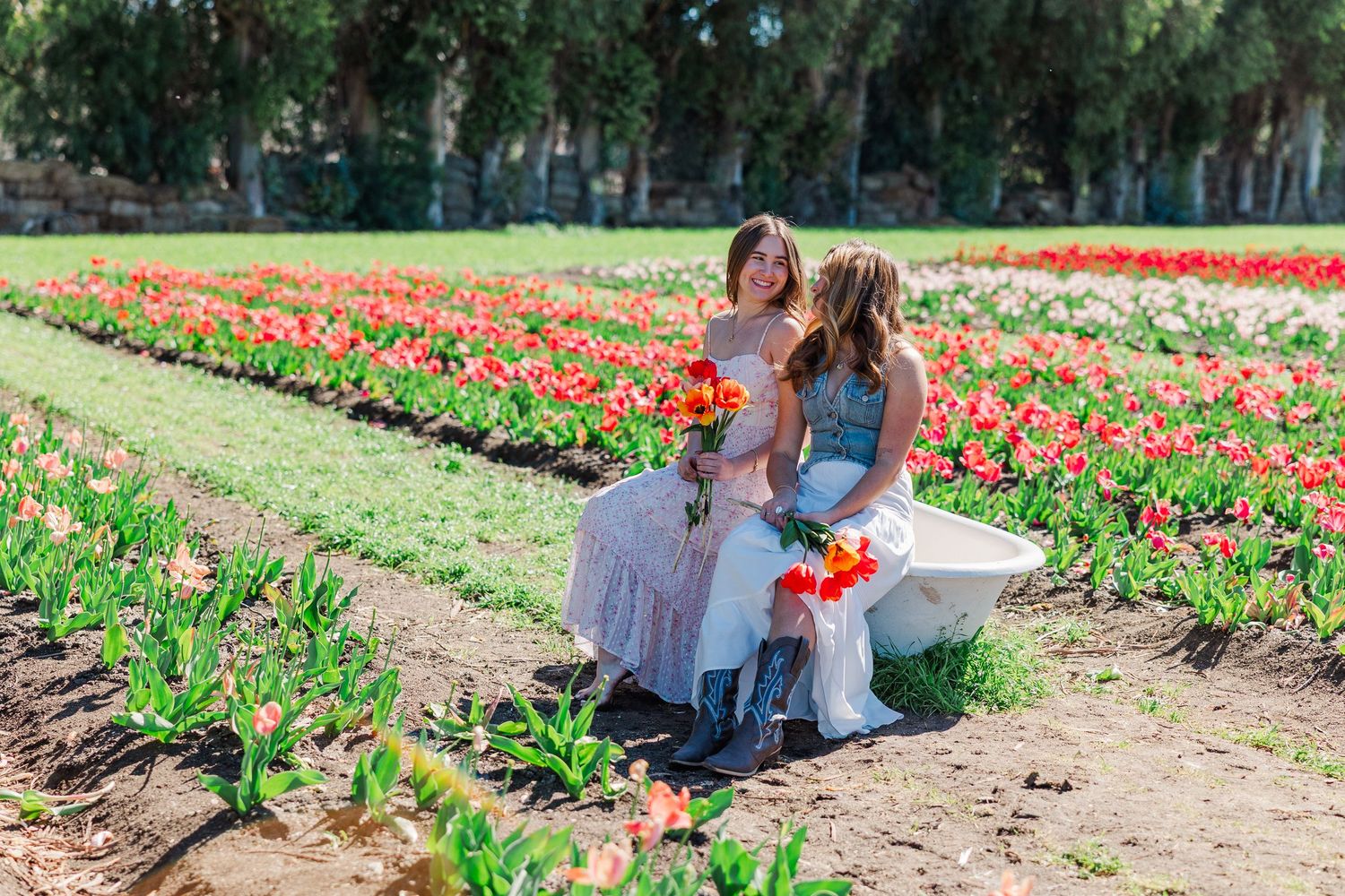 A collage of photos showing tulip fields with people walking through rows of vibrant red and orange flowers.