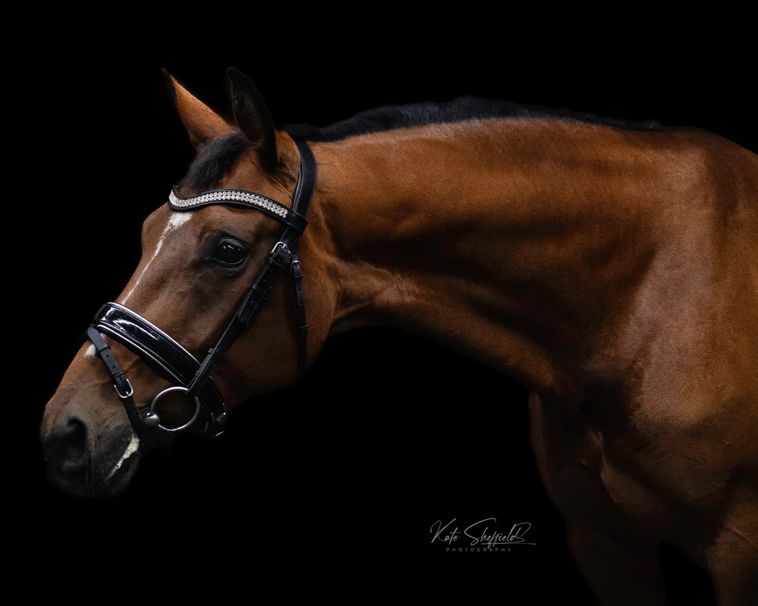 Copyright Kate Sheffield