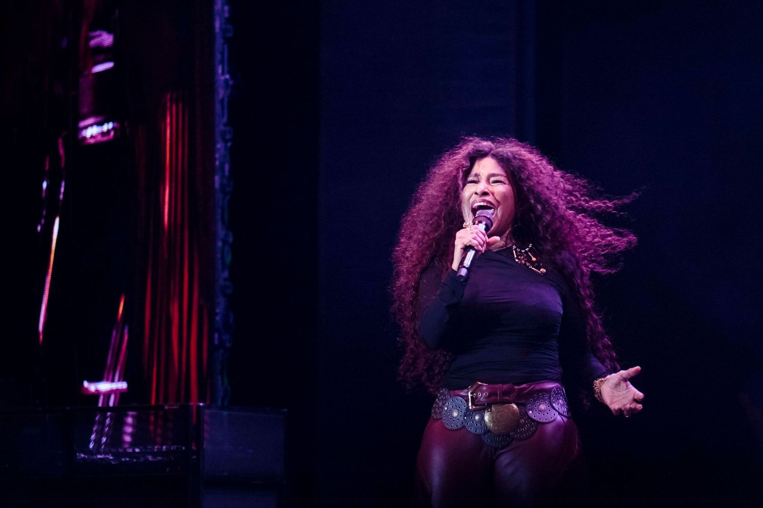 chaka khan, concert, copenhagen, performance, stage, woman, celebrity, diva, famous woman,