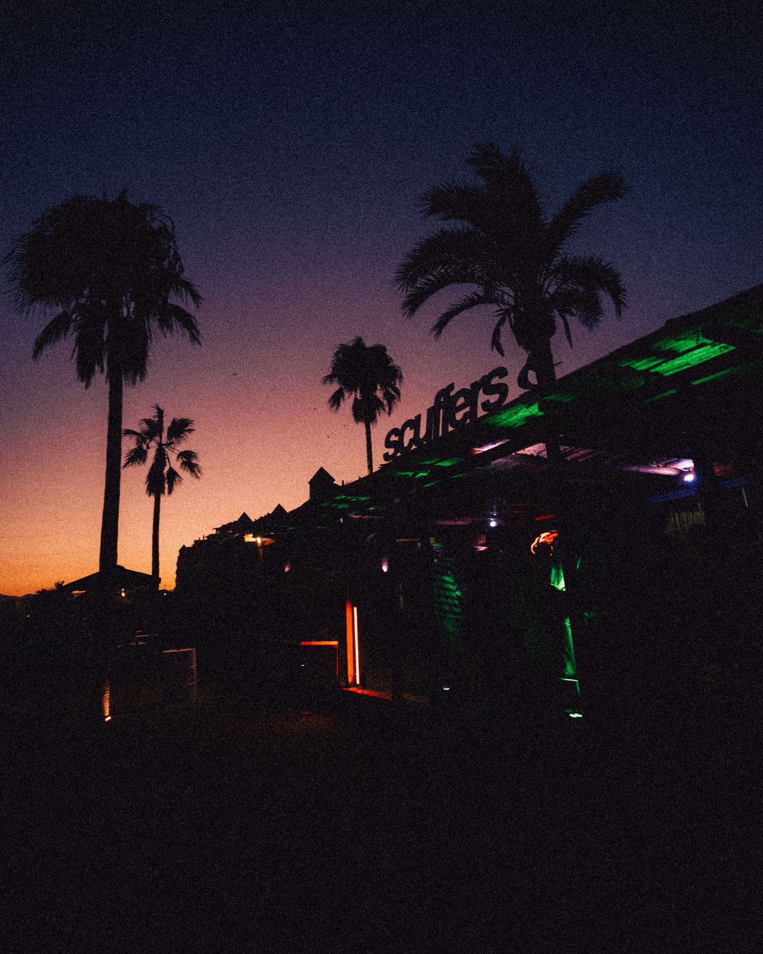 Palm trees silhouetted against a sunset sky with colorful neon lighting.