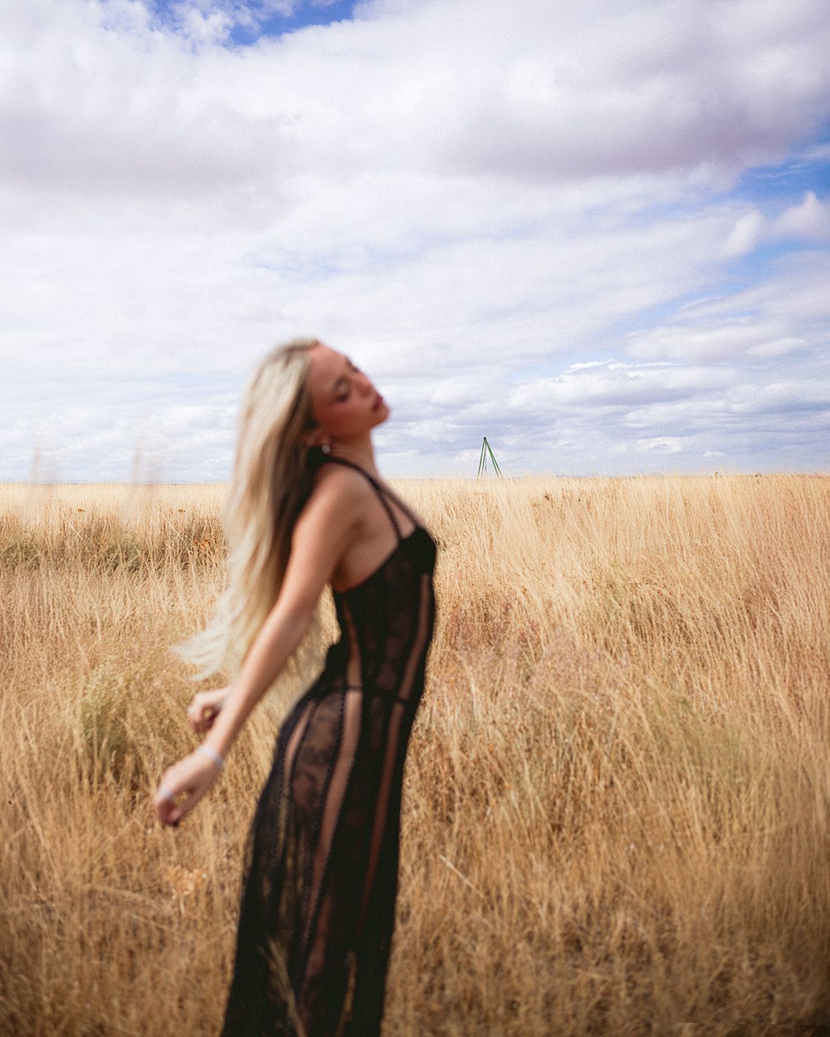 A person in dark clothing stands in a golden wheat field against a cloudy blue sky, creating a dreamy atmosphere.