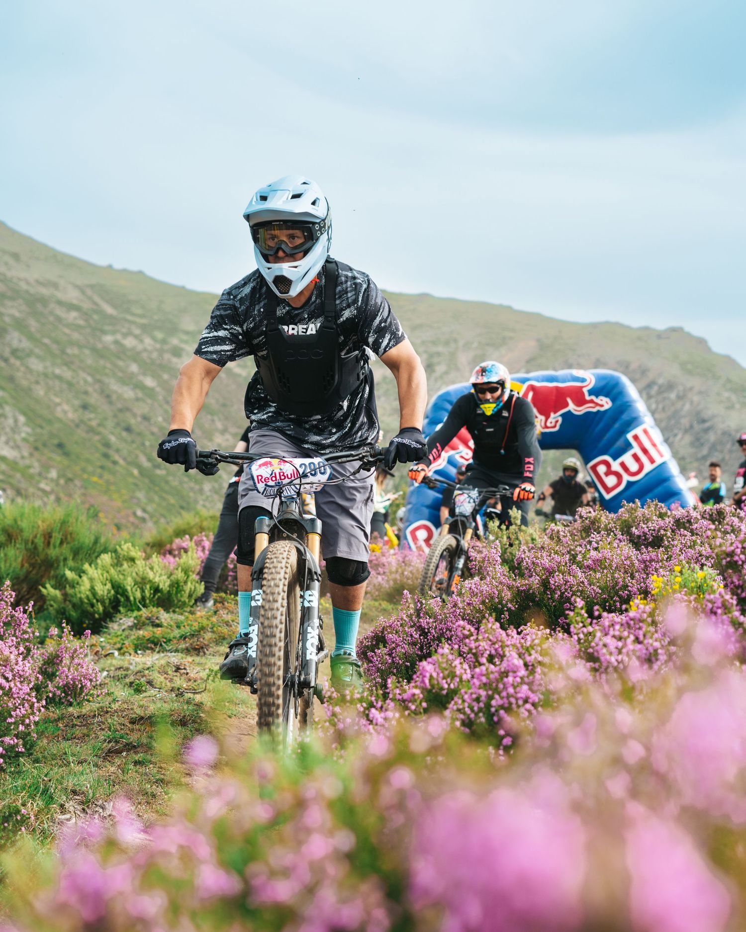 Mountain bikers riding through blooming purple wildflowers on a scenic trail.