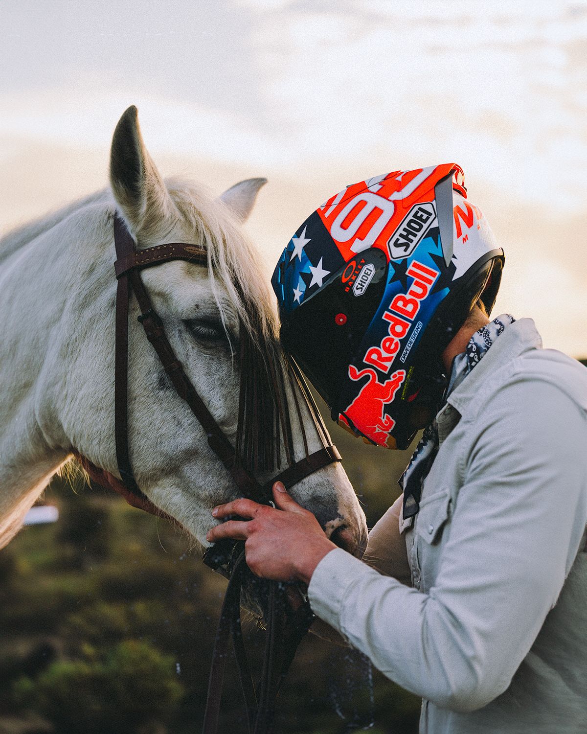 A series showing someone in a Red Bull helmet petting and interacting with a white horse.