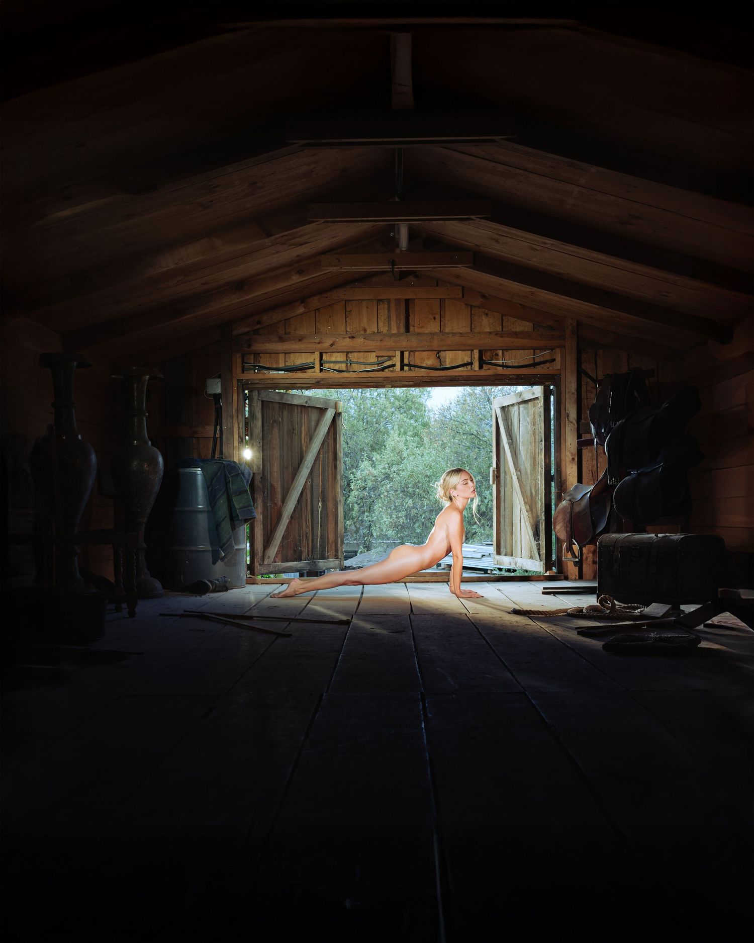 A panoramic sequence of a cat walking through a dimly lit attic space, captured in silhouette against natural light.