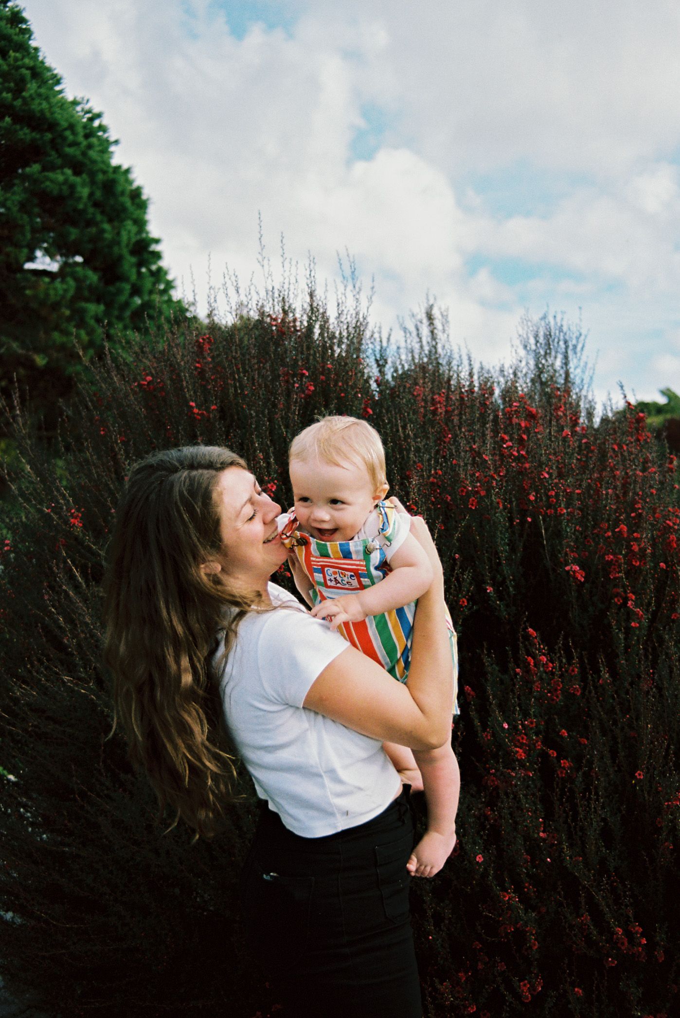 A tender moment captured in a garden with red flowers, showing love and connection against a natural backdrop.