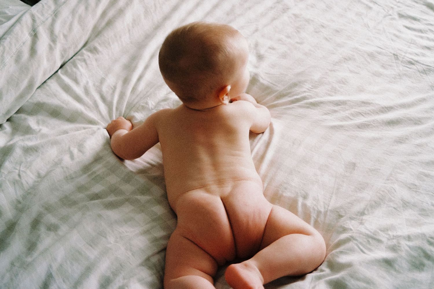 A baby lying on white bedding photographed from behind.