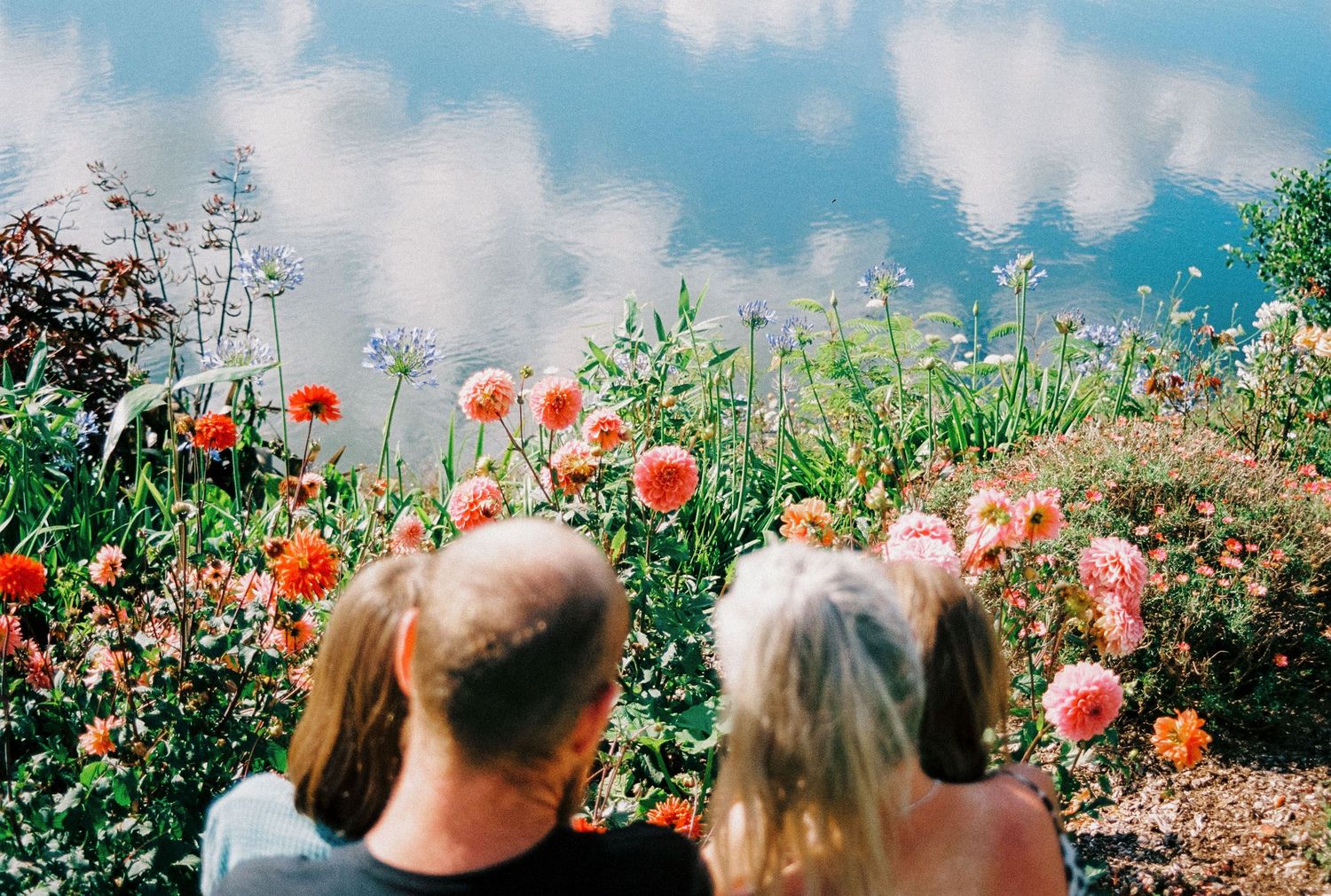 People enjoying a sunny day in a garden filled with vibrant red poppies and other wildflowers under a blue summer sky. Family film photo