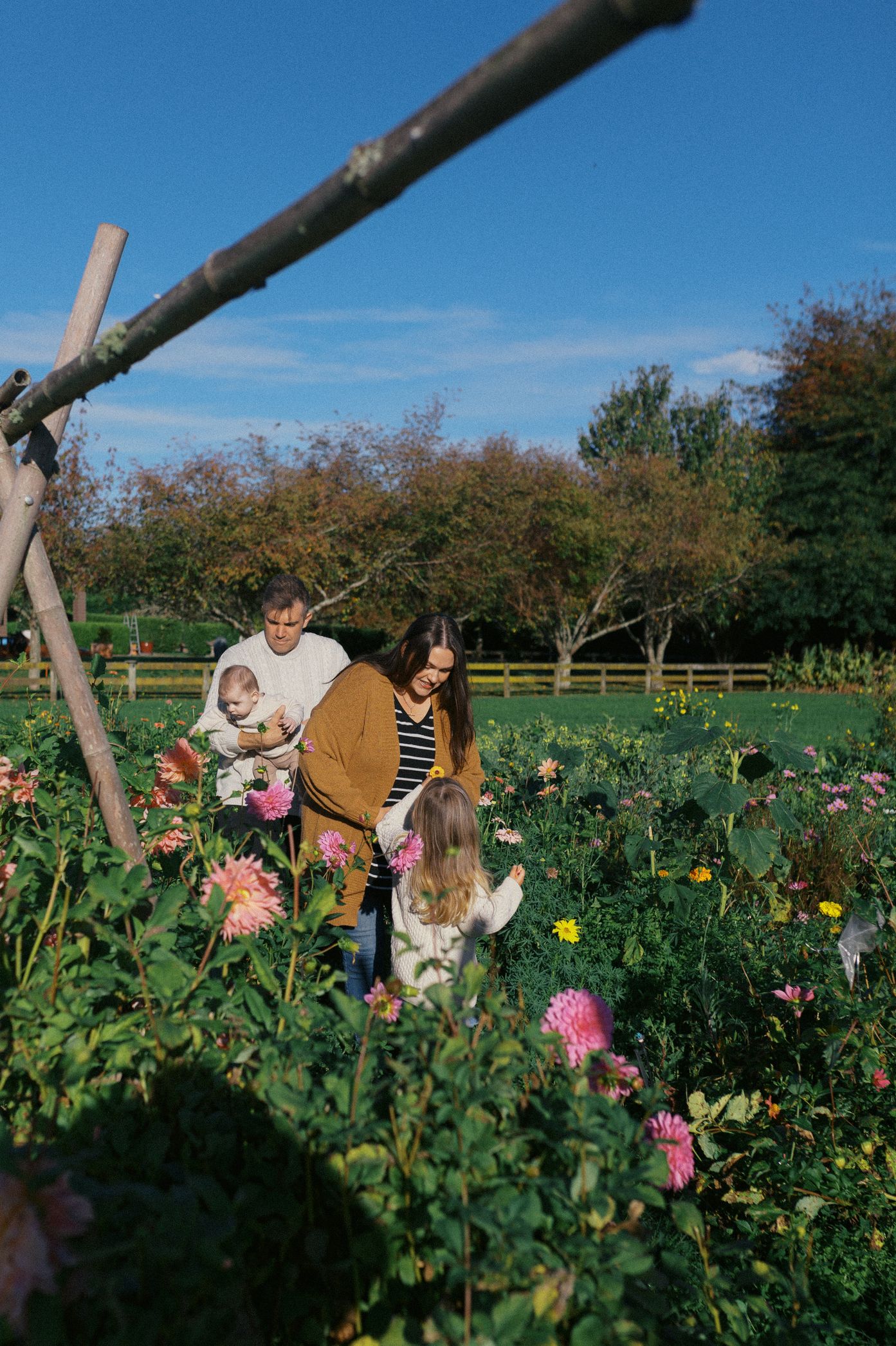 People admiring colorful dahlia flowers blooming in a sunny garden field on a bright autumn day.