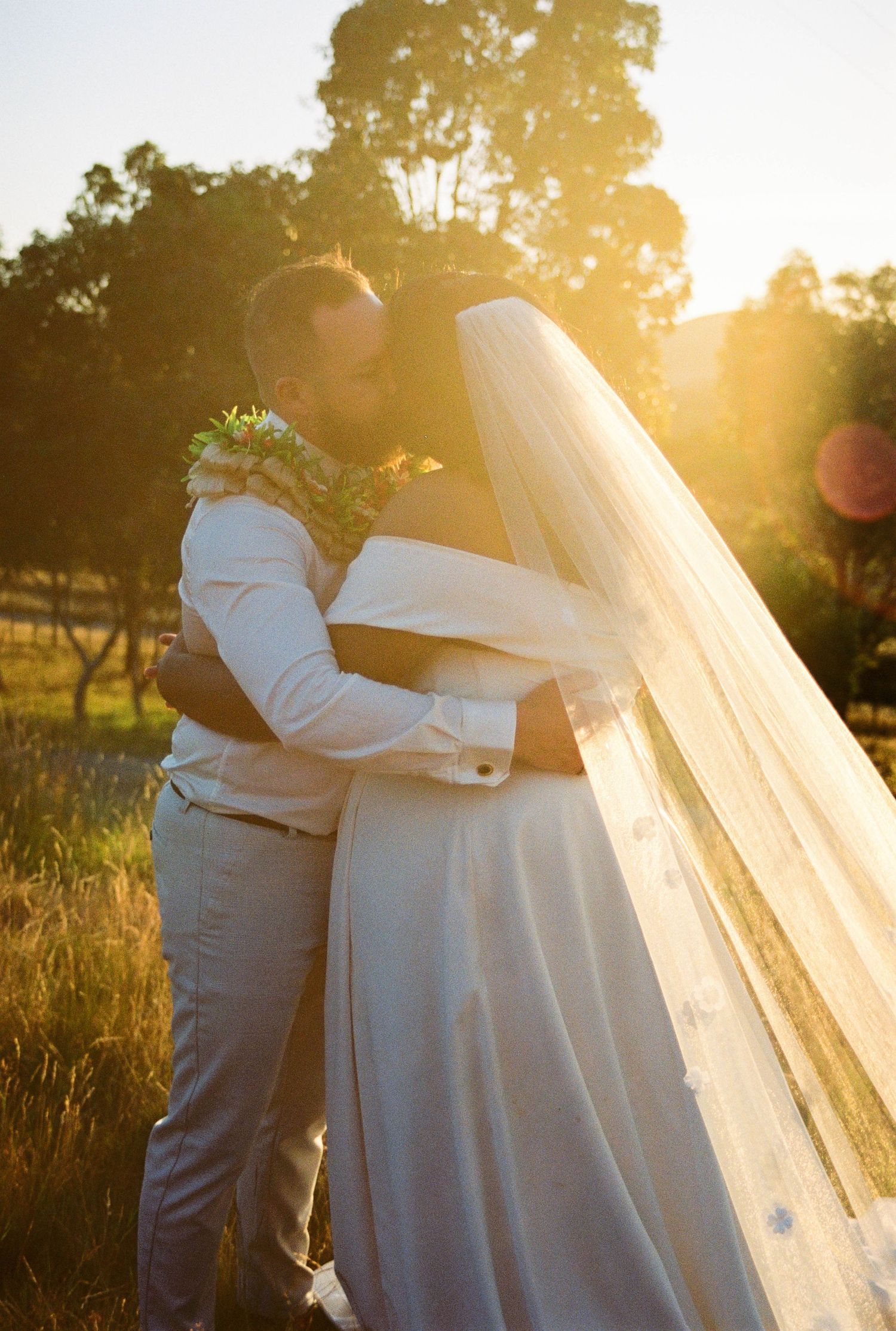 A romantic couple embraces in a golden sunset field while wearing wedding attire with a flowing veil.