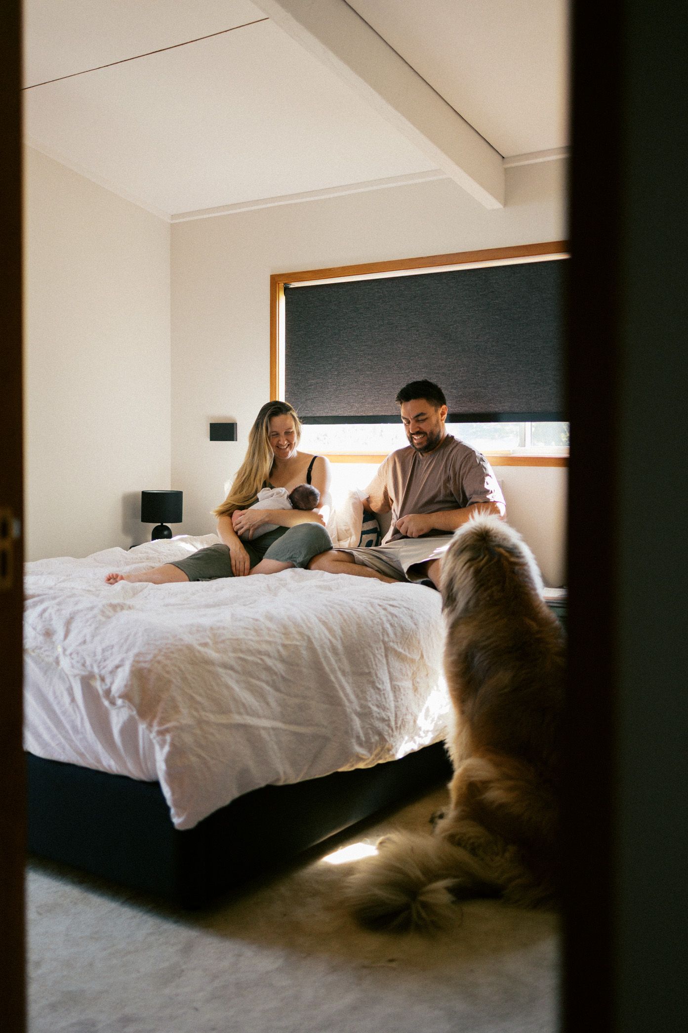 A cozy bedroom scene shows people relaxing on a bed with a fluffy dog while using laptops and devices.