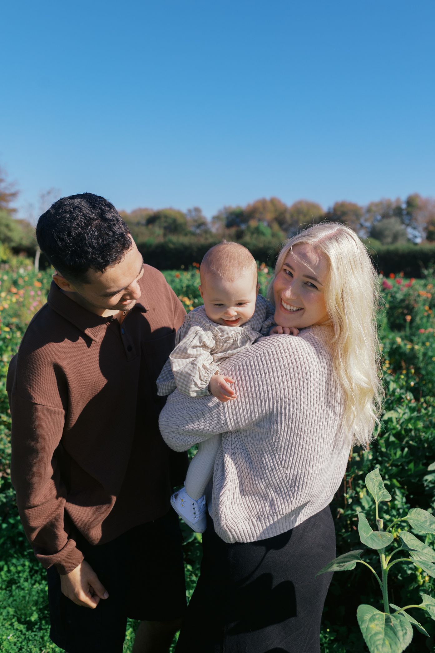 Family sharing embraces and tender moments together in a lush green field on a sunny day.