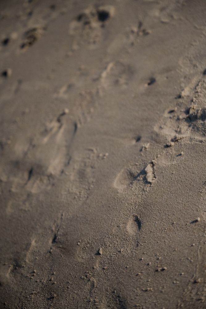 Close-up view of sandy brown textured surface with small indentations and scattered pebbles creating natural patterns.