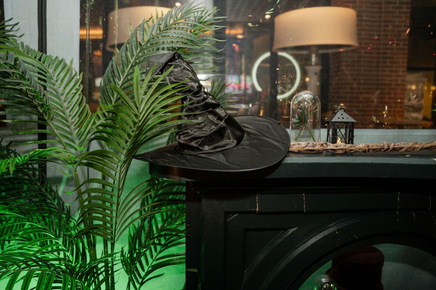 Elegant indoor space with tropical palm plants and mood lighting creating ambiance.