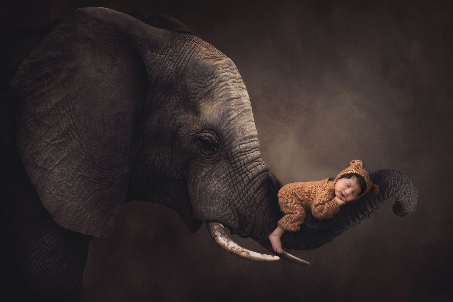 A dreamy artistic portrait shows a young figure resting beside a majestic elephant's face in dark moody lighting.