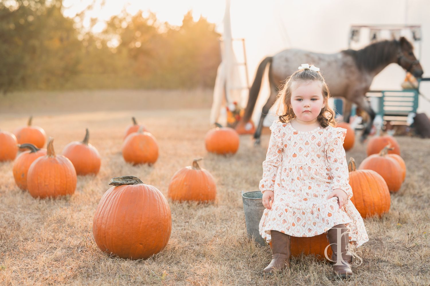 Young girl in floral dress sitting on pumpkin at autumn pumpkin patch with horses in background.