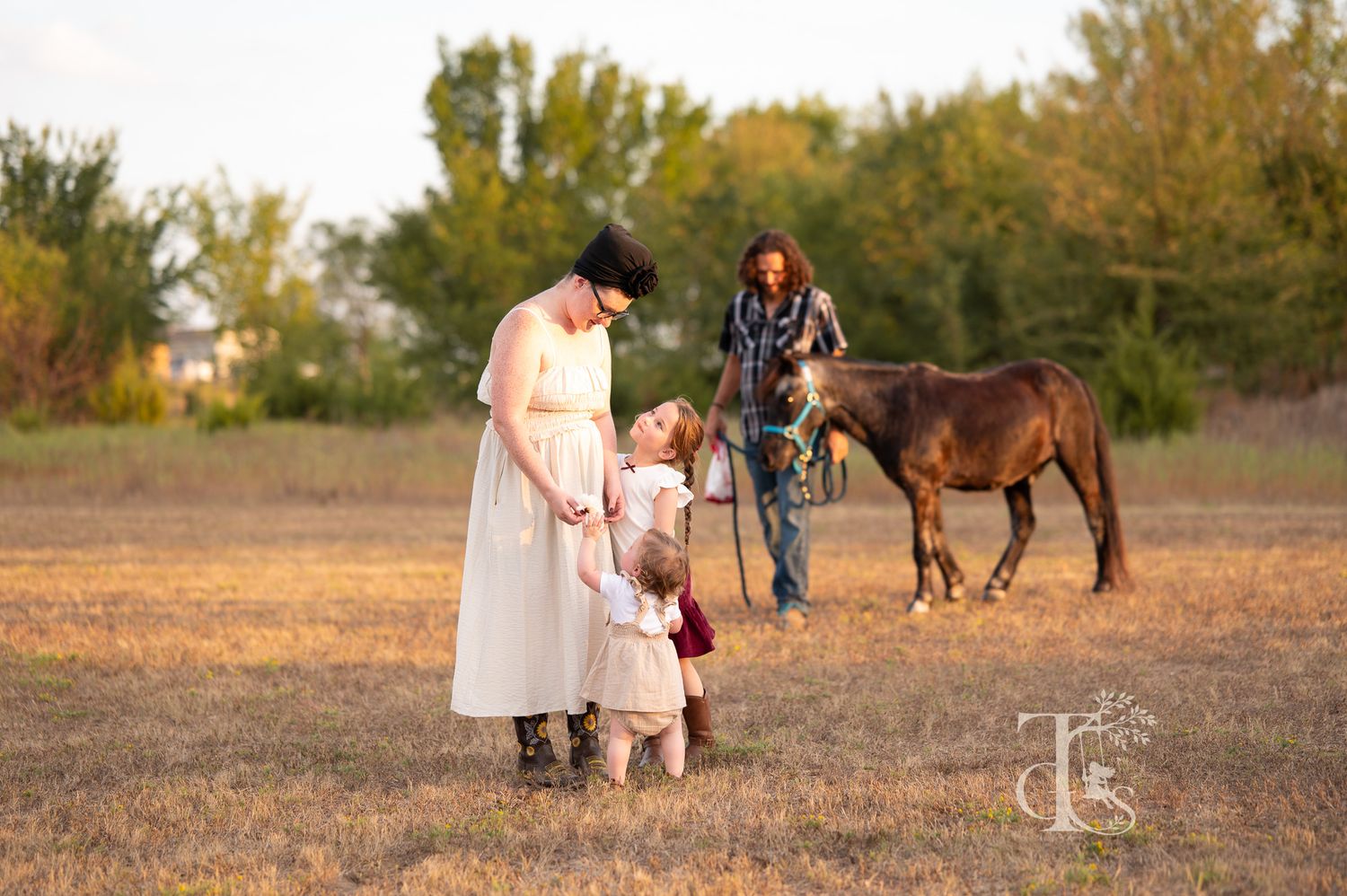 Mother and daughter meeting a brown horse in a golden field during family photo session.