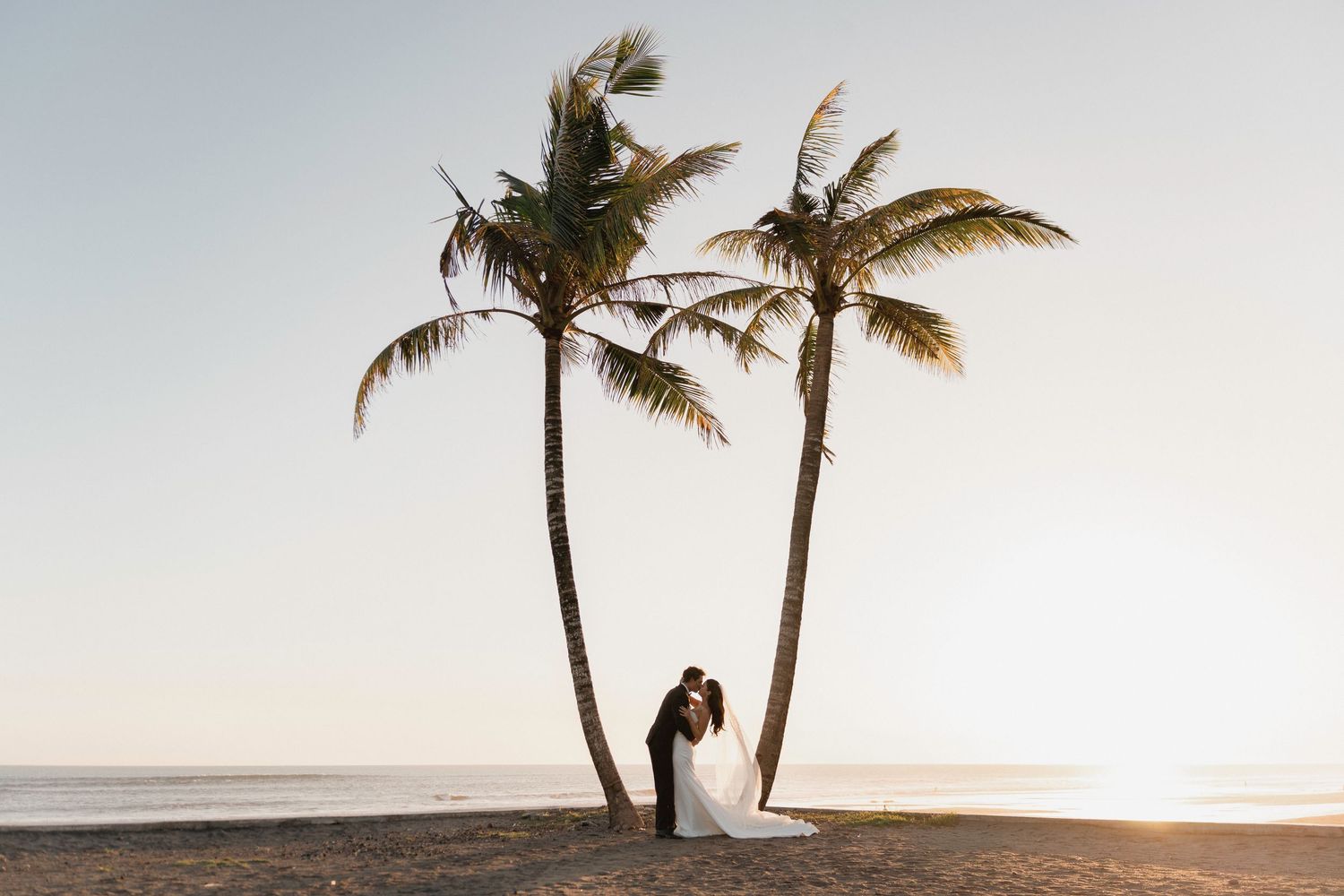 Bride and groom sharing romantic kiss under two leaning palm trees on sandy beach at golden sunset.