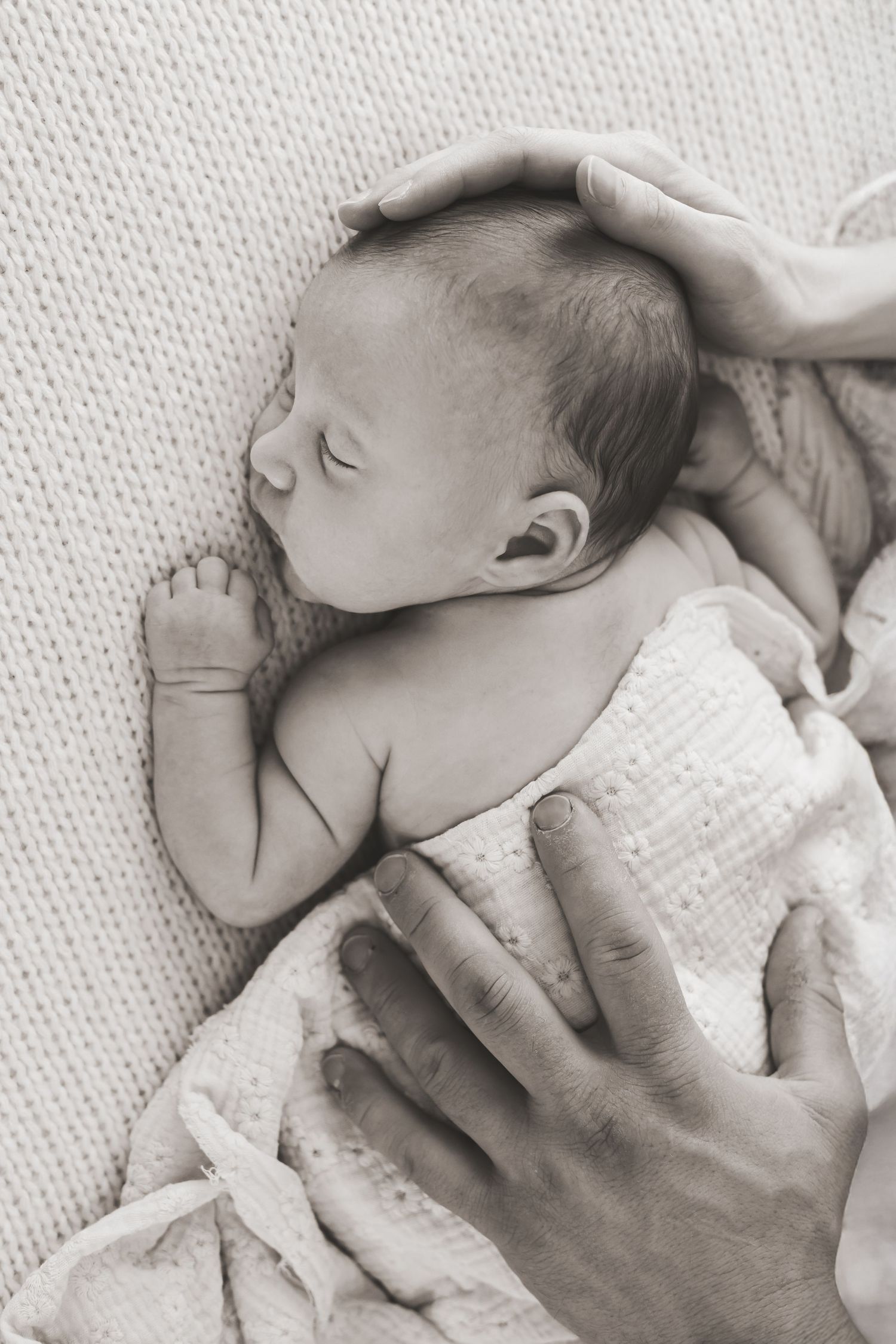 foto di famiglia newborn in studio roncade treviso