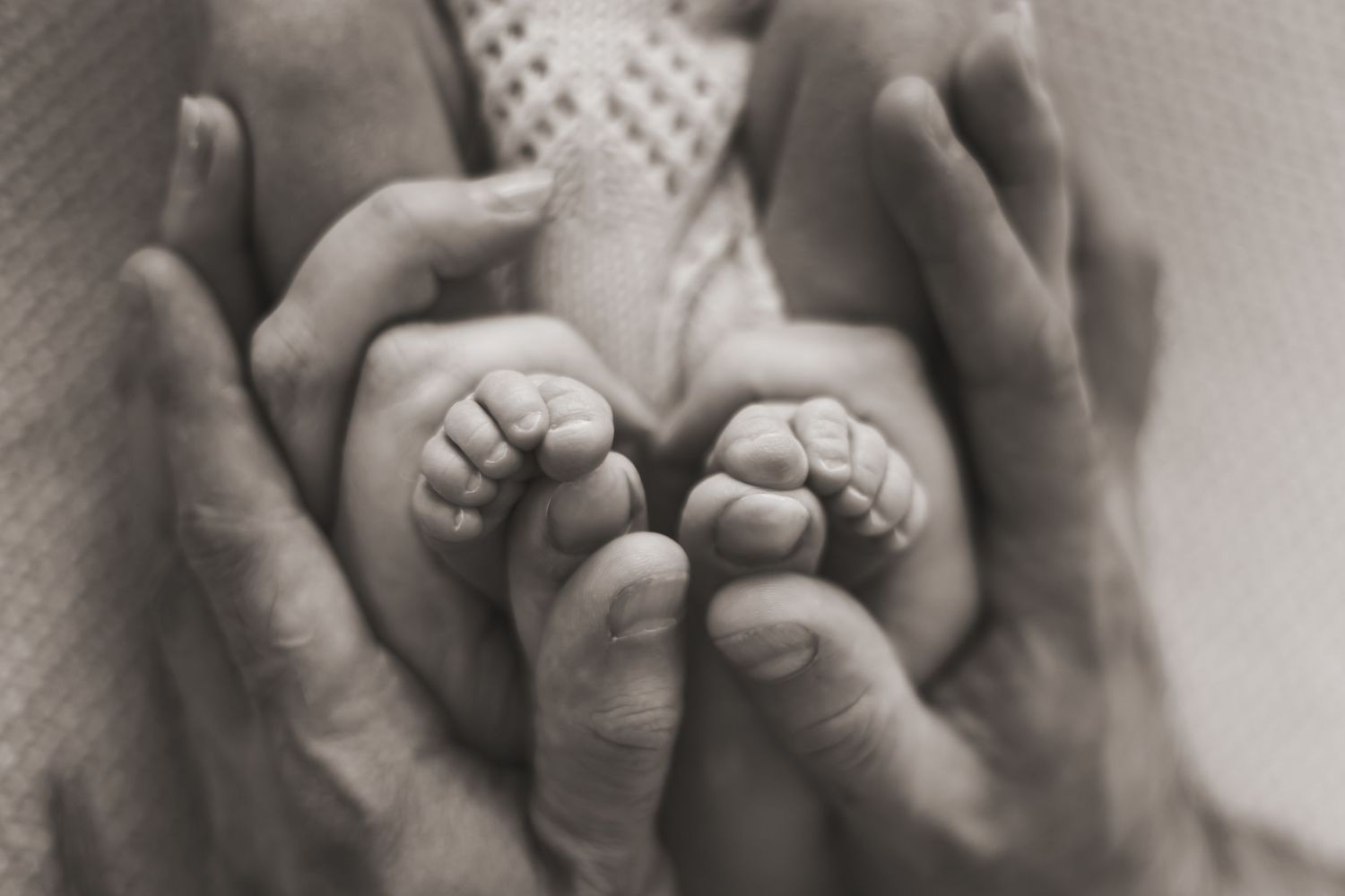 foto di famiglia newborn in studio roncade treviso