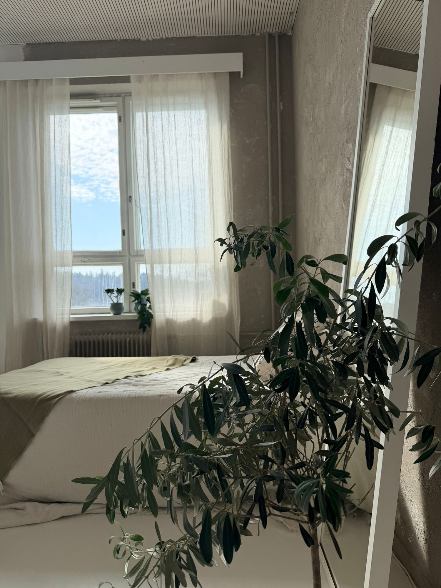 Minimalist bedroom with sheer white curtains, a bed, and a large green plant in the foreground.