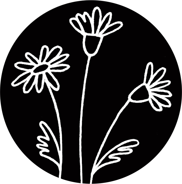 Logo Liberta Fotografia Portugal