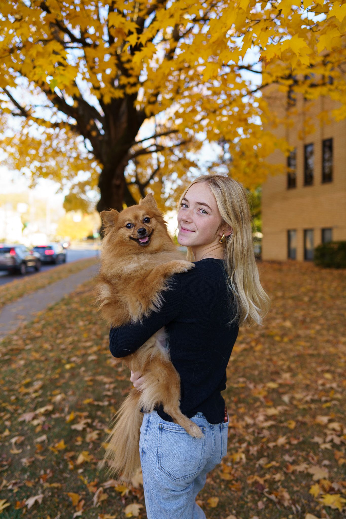 High school senior girl posing beneath colorful fall trees with her dog in Columbus, Ohio, photographed by Jamie Macey Photography