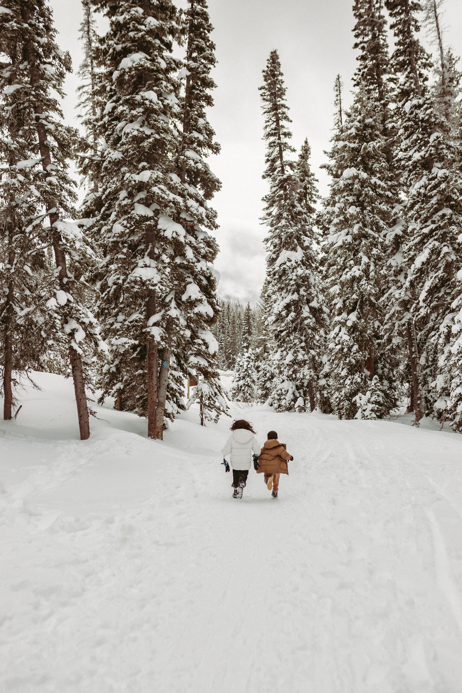 Photo of two children running in the winter by Kristy Baker Photography, a local Steamboat Springs, Colorado photographer.