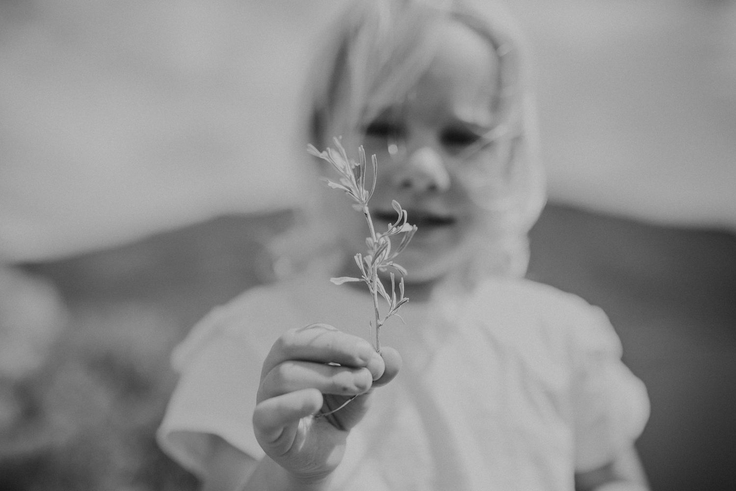 A young girl holds up a small branch of sage, photographed by Kristy Baker Photography.