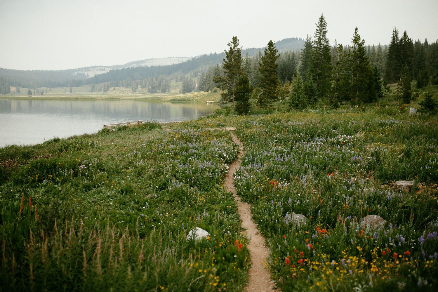 Photo of a trail by a lake surrounded by pine trees taken by Kristy Baker Photography, a local Steamboat Springs, Colorado photographer.