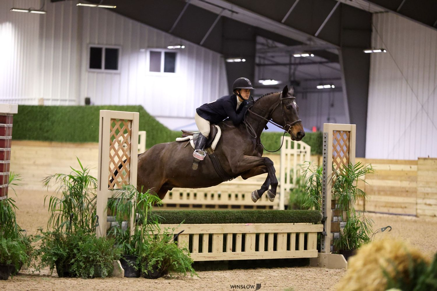 Photo of Bre and her horse at World Equestrian Centre.