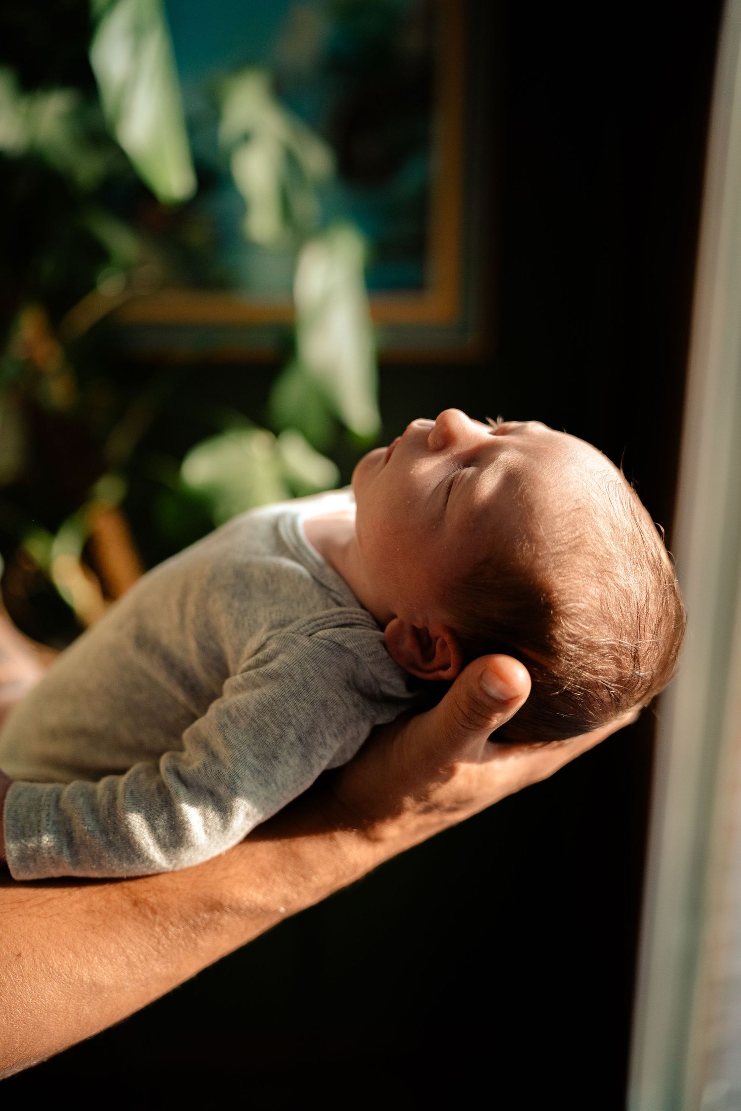 Newborn baby resting peacefully on adult forearm in warm sunlight with green plants in background.