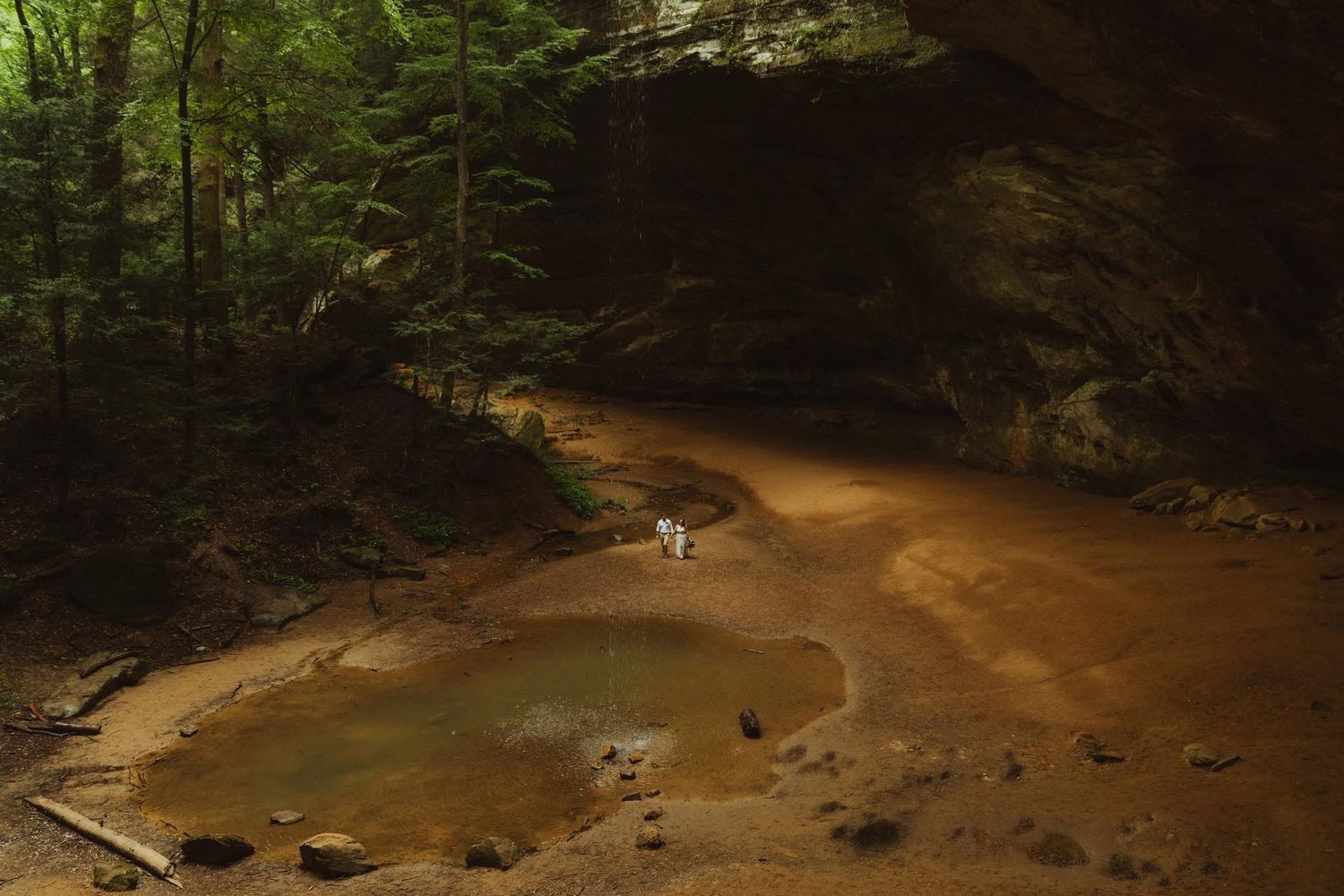 A winding dirt trail leads through a lush green forest with sunlight filtering through the dense canopy.