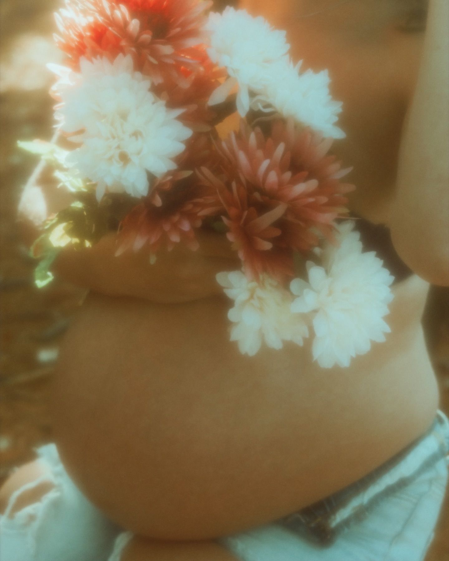 Close-up of coral and white flowers with soft focus and dreamy lighting effects.