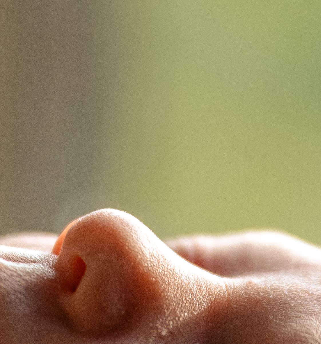 Extreme close-up macro photograph of a human nose tip showing detailed skin texture on a soft green background.