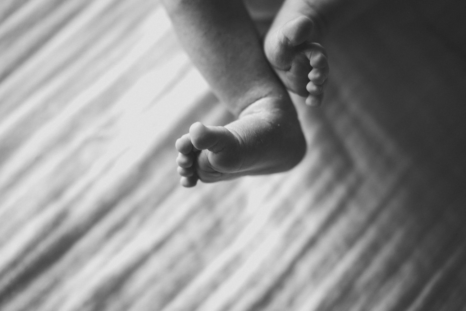 Black and white close-up of tiny newborn baby feet resting on a soft blanket.