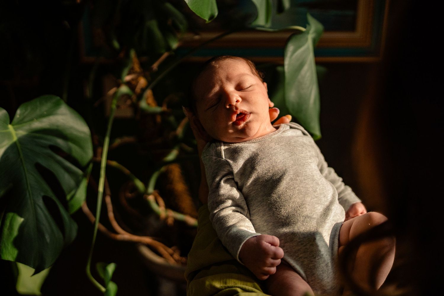 Newborn baby sleeping peacefully in warm sunlight surrounded by lush green tropical leaves.